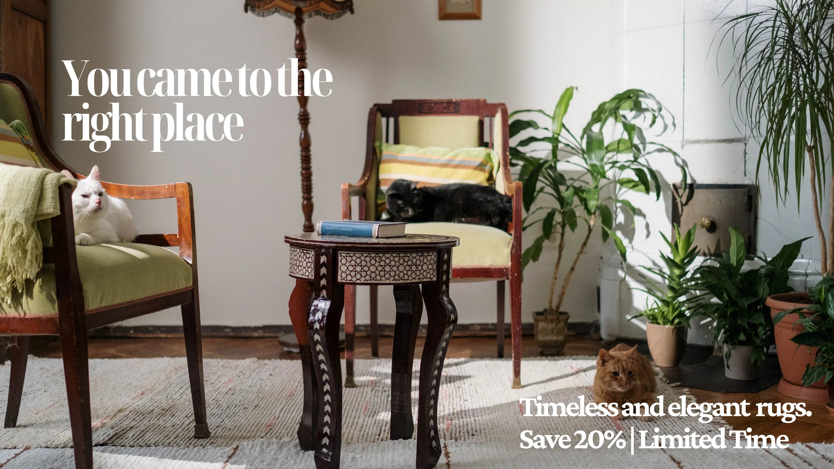 Rugs for living room - Indigenite