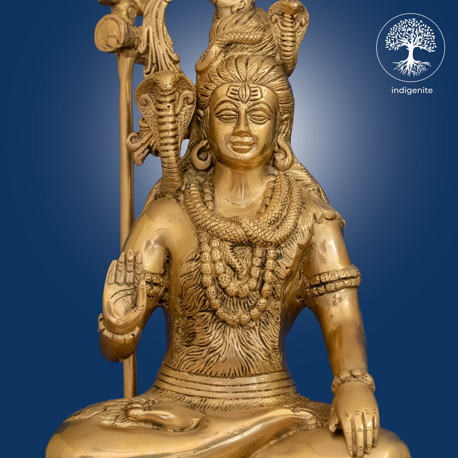 Lord Shiva Idol Sitting on Tiger Base - Brass Statue