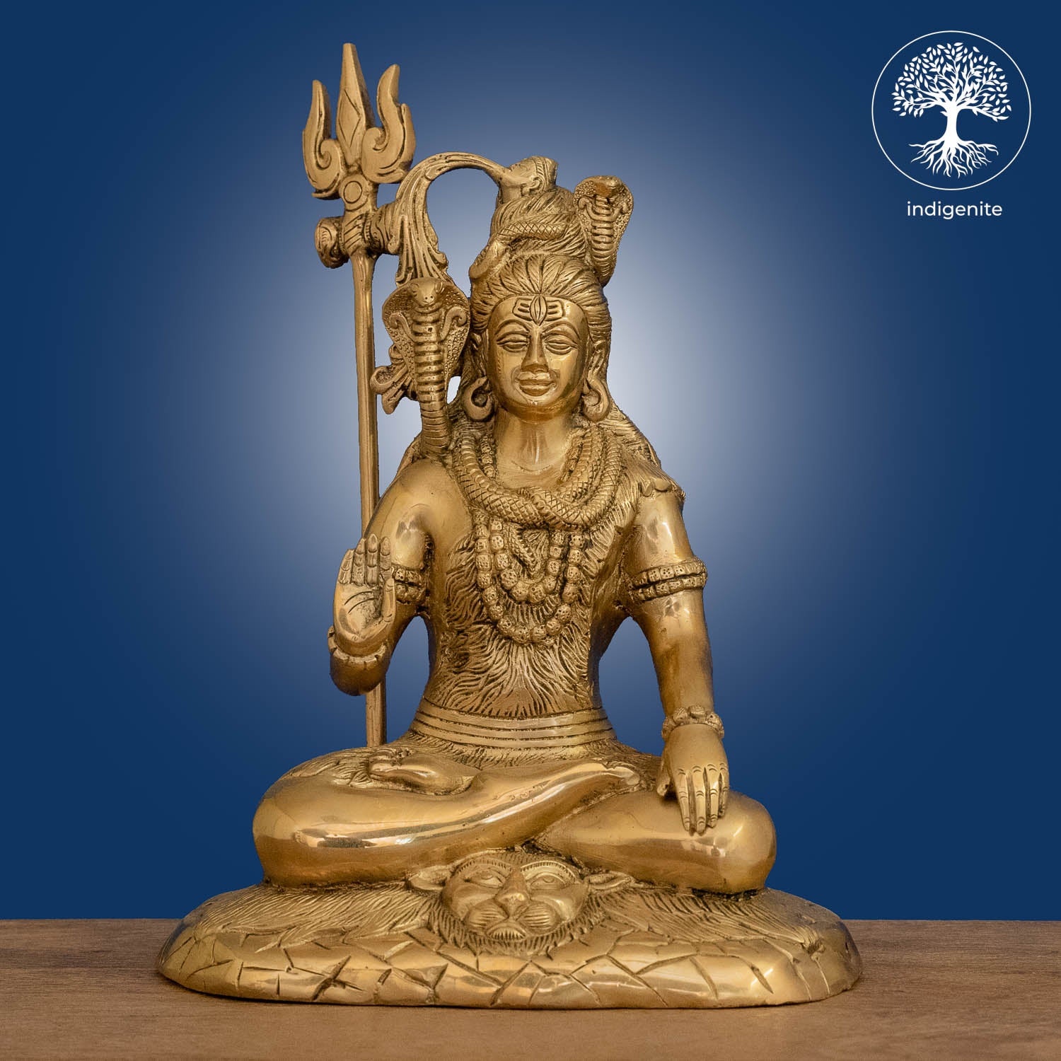 Lord Shiva Idol Sitting on Tiger Base - Brass Statue